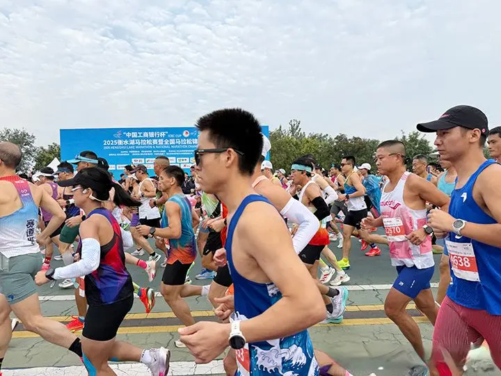 其中包括