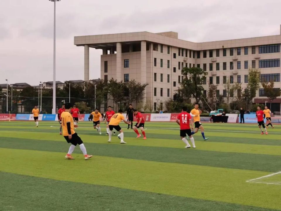 文化交流的 文化交流的